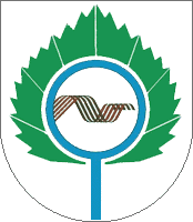 http://www.econom.nso.ru/sites/econom.nso.ru/wodby_files/files/migrate/deyatelnost/territ_razv/PublishingImages/koltsovo.png